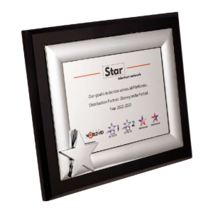Corporate Trophy - Photo Frame Style