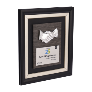 The Handshake Frame Trophy