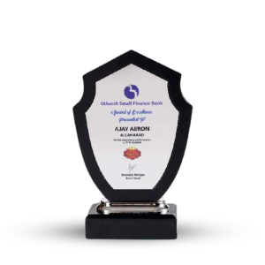 Custom Shape Acrylic Award Trophy Momento