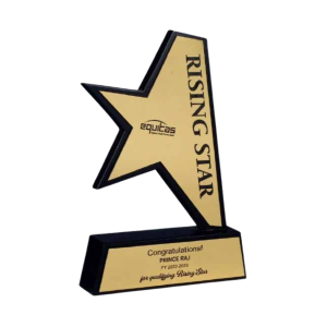 Premium Wooden Rising Star Trophies