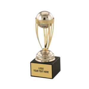 Trophy with Wooden Stand Award