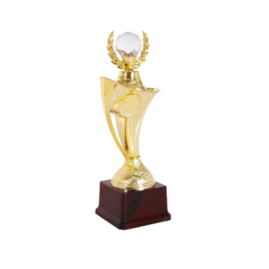 Wooden Stand Metallic Crystal Trophy