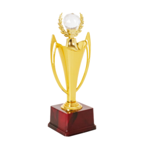 Matellic Shining Youth Award Trophy