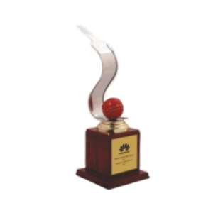 Cricket Trophy Metal and Wood