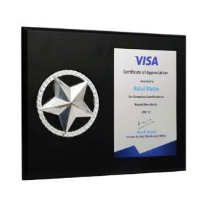 Wooden Trophy Visa Award