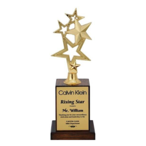 Crown Awards Gold Star Trophies