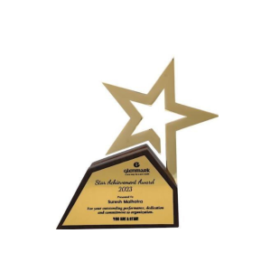 Star Golden Award Trophy Gift