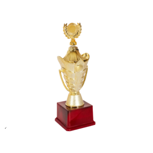 Gold Trophy for Winners