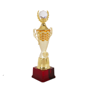 Customized Premium Corporate Winner Trophy