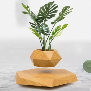 Smart Selections Floating Plant | 360 Degree Rotation |